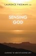 Sensing God (eBook, ePUB) - Bild 1