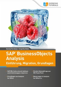 SAP BusinessObjects Analysis - Einführung, Migration, Grundlagen (eBook, ePUB) - Bode, Angelika; Karakaya, Zeynep