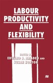 Labour Productivity and Flexibility