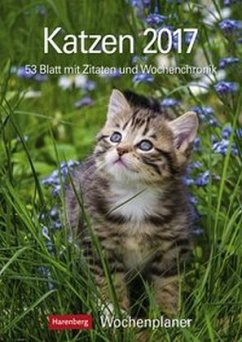 Katzen 2017