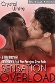 Sensation Overload - A Kinky Interracial BDSM BWWM Erotic Short Story from Steam Books (eBook, ePUB)