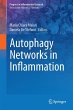 Autophagy Networks in Inflammation - Bild 1