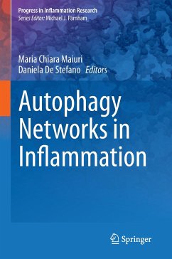 Autophagy Networks in Inflammation