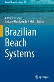 Brazilian Beach Systems