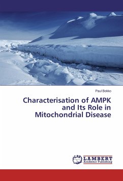 Characterisation of AMPK and Its Role in Mitochondrial Disease