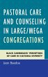 Pastoral Care and Counseling in... - Bild 1