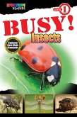 BUSY! Insects (eBook, ePUB)