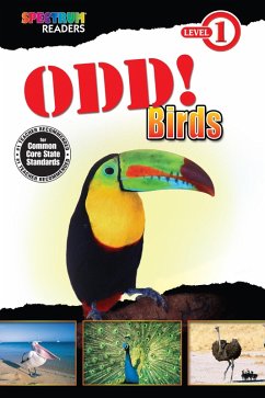 Odd! Birds (eBook, ePUB) - Domnauer, Teresa