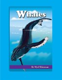 Whales (eBook, ePUB)