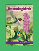 Hummingbirds (eBook, ePUB)