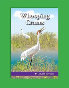 Whooping Cranes (eBook, ePUB) - Shireman, Myrl