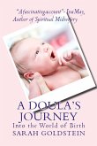 A Doula's Journey: Into the World of Birth (eBook, ePUB)