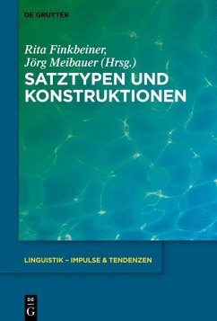 Cover Satztypen und Konstruktionen (eBook, PDF)