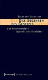 Das Begehren des Gesetzes (eBook, PDF) Das Begehren des Gesetzes (eBook, PDF)