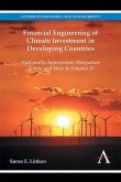 Financial Engineering of Climate Investment in Developing Countries (eBook, PDF)