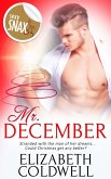 Mr. December (eBook, ePUB)