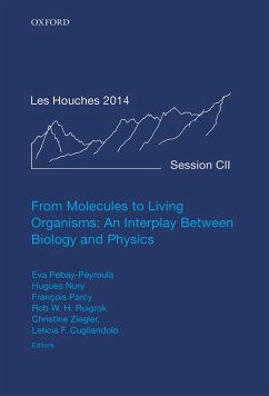 From Molecules to Living Organisms: An Interplay Between Biology and Physics (eBook, PDF)