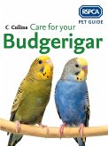Care for your Budgerigar (eBook, ePUB)