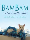 BamBam, the Prince of Valprivas!