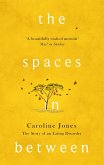 The Spaces In Between (eBook, ePUB)