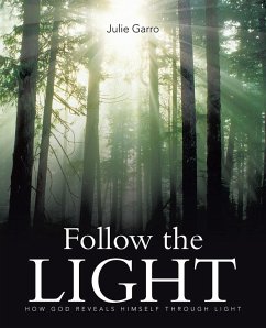 Follow the Light - Garro, Julie