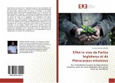 Effet in vivo de Parkia biglobosa et de Pterocarpus erinaceus