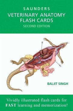 Veterinary Anatomy Flash Cards - Singh, Baljit