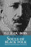 Illustrated Souls of Black Folk (eBook, ePUB)
