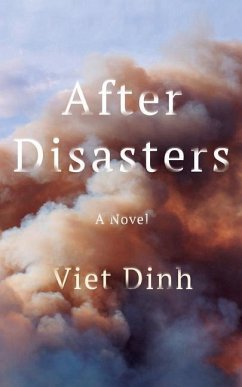 After Disasters - Dinh, Viet