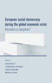 European social democracy during the global economic crisis (eBook, ePUB)