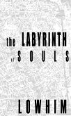 The Labyrinth of Souls (eBook, ePUB)