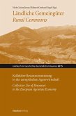 Ländliche Gemeingüter / Rural Commons (eBook, ePUB)