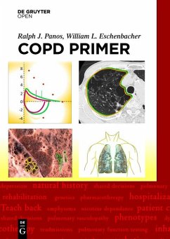 Cover A COPD Primer (eBook, PDF)