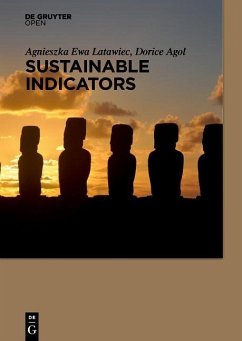 Cover Sustainability Indicators in Practice (eBook, PDF)