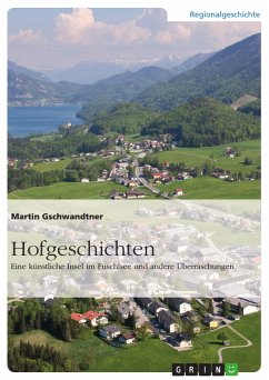 Hofgeschichten. Eine künstliche Insel im Fuschlsee und andere Überraschungen (eBook, PDF)