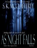 As Night Falls (Hudson Valley Suspense Series, #1) (eBook, ePUB)