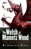 Welsh at Mametz Wood, The Somme 1916, The