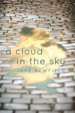 Cloud in the Sky (eBook, ePUB) - Newfield, Jake