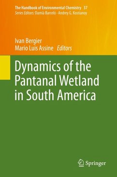 Dynamics of the Pantanal Wetland in South America (eBook, PDF)