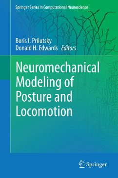 Neuromechanical Modeling of Posture and Locomotion (eBook, PDF)