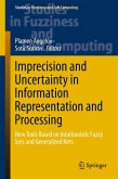 Imprecision and Uncertainty in Information Representation and Processing (eBook, PDF)