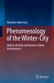 Phenomenology of the Winter-City (eBook, PDF)