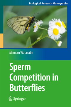 Sperm Competition in Butterflies (eBook, PDF) - Watanabe, Mamoru