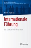 Internationale Führung (eBook, PDF)