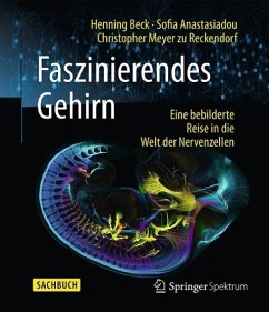Faszinierendes Gehirn (eBook, PDF) - Beck, Henning; Anastasiadou, Sofia; Meyer Zu Reckendorf, Christopher
