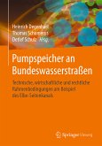 Pumpspeicher an Bundeswasserstraßen (eBook, PDF)