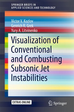 Visualization of Conventional and Combusting Subsonic Jet Instabilities (eBook, PDF) - Kozlov, Victor V.; Grek, Genrich R.; Litvinenko, Yury A.