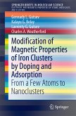 Modification of Magnetic Properties of Iron Clusters by Doping and Adsorption (eBook, PDF)