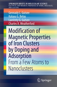 Modification of Magnetic Properties of Iron Clusters by Doping and Adsorption (eBook, PDF) - Gutsev, Gennady L.; Belay, Kalayu G.; Gutsev, Lavrenty G.; Weatherford, Charles A.