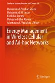 Energy Management in Wireless Cellular and Ad-hoc Networks (eBook, PDF)